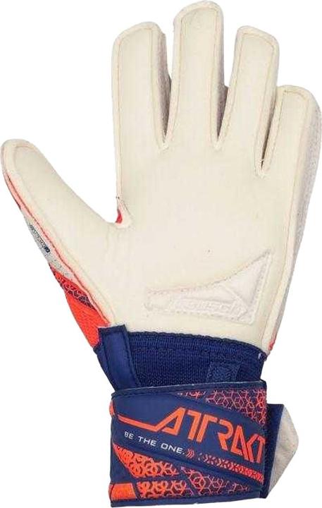 Produktbild Reusch Attrakt Silver TorhüterHandschuhe (7)