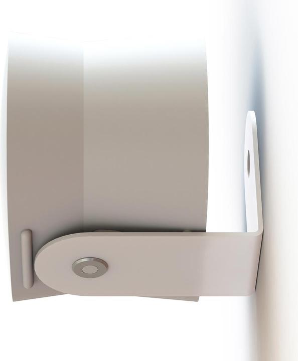 Actual product image Mountson MSE31WX2 - Support mural pour Sonos Era 300 (Wall installation, Rotatable)