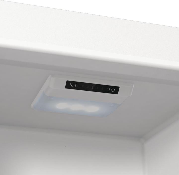Actual product image Gorenje RKI517D61 (270 l)