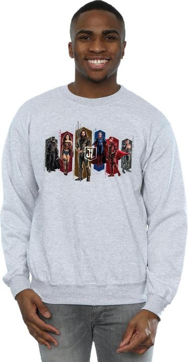 Produktbild Justice League Movie Team Hexagons Sweatshirt (L)