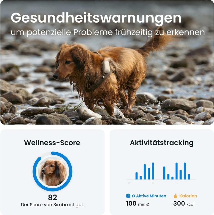 Produktbild Tractive Dog 4 GPS Tracker für Hunde (Hund, Allgemein)