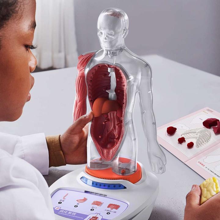 Actual product image Science Can My Body - a knowledge journey with quiz and sound/ My Body Voice Pedia (German, Dutch, English, Italian, French, Spanish)