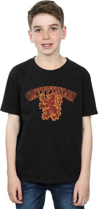 Produktbild Gryffindor Sport Emblem TShirt Jungen (152, 158)