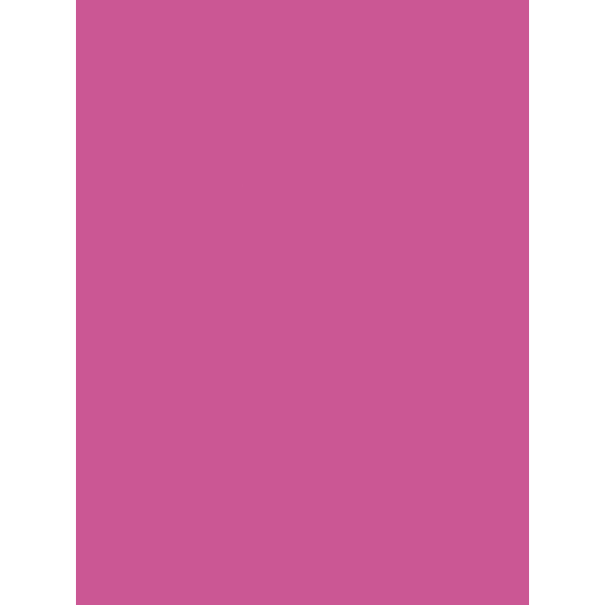 Clairefontaine, Kopierpapier, Poster Papier (90 g/m², 25 x, 60 x 80 cm)