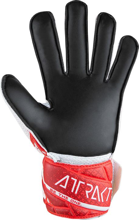 Produktbild Reusch Attrakt Solid Jr Torwarthandschuhe (8)