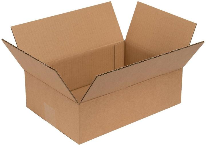 Brieger Versandkarton Small Pac 340 x 240 x 100