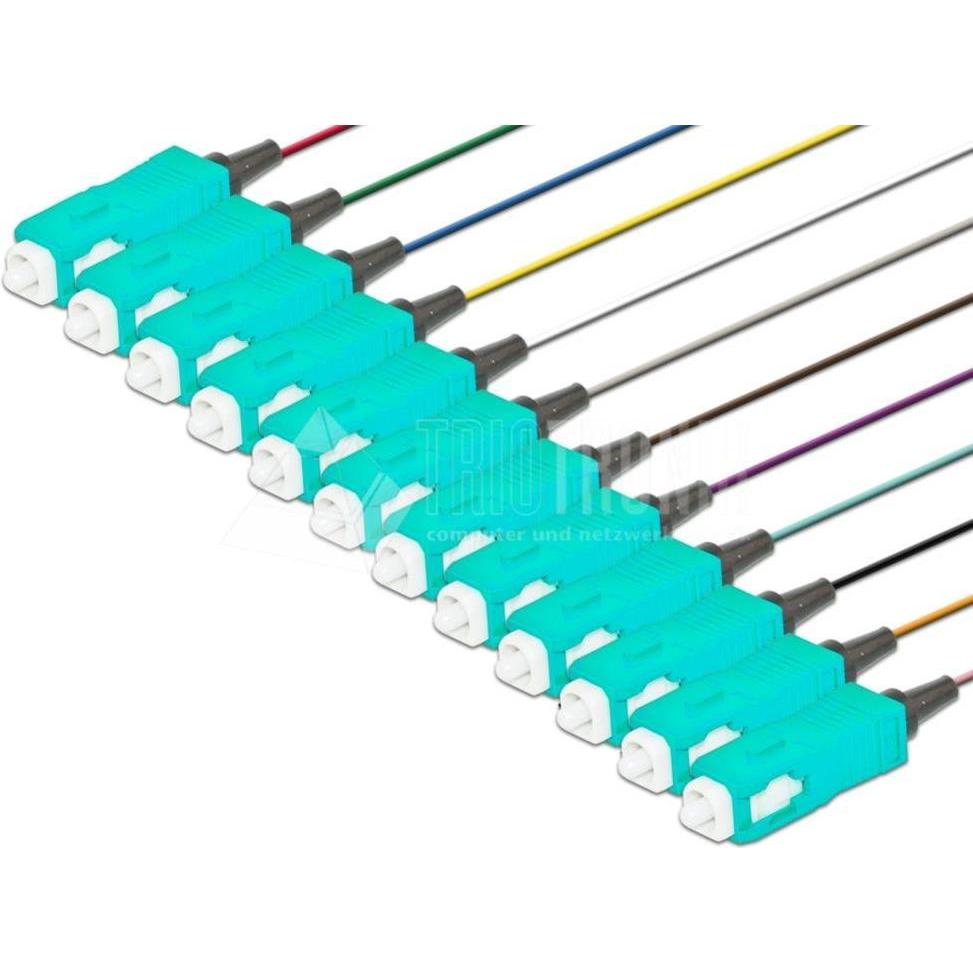 Wirewin Lightwin PIG 50 SC-12 2.0 OM3 Glasfaserkabel 2 m Mehrfarbig (PIG 50 SC-12 2.0 OM3) (2 m), Cavo di rete