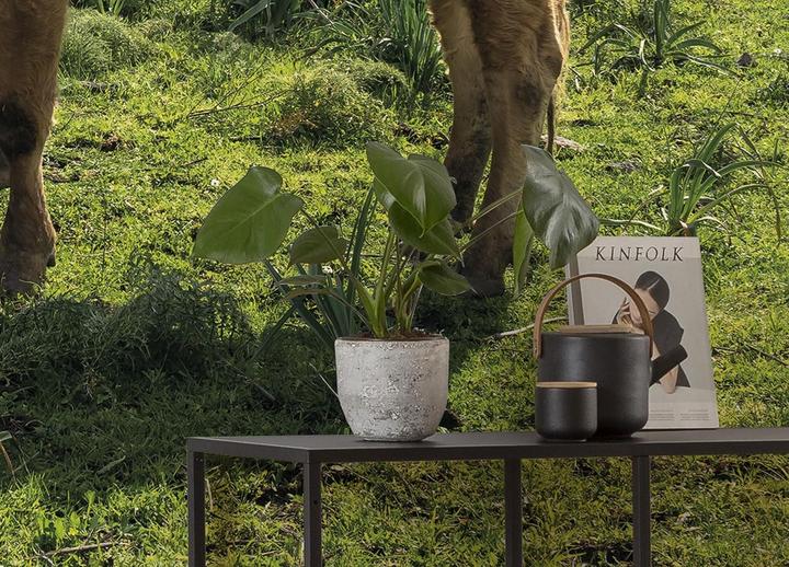 Productafbeelding Komar Vliesbehang Cow Paradise 9 panelen 450 x 280 cm (450 x 280 cm)