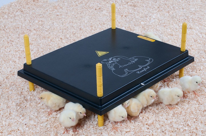 Actual product image Olba Comfort
