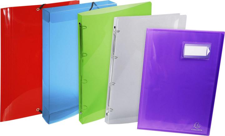 Actual product image Exacompta ring binder A4 PP 2-ring 15mm spine 20mm (A4, 20 mm, 1 pcs.)