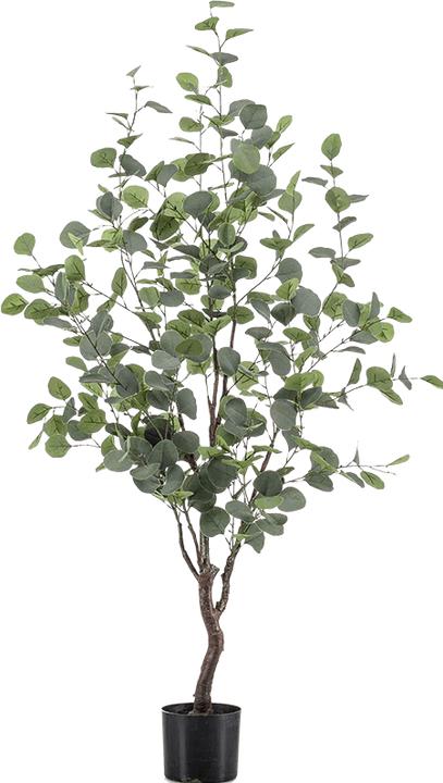 Image du produit Emerald Merna (120 cm)