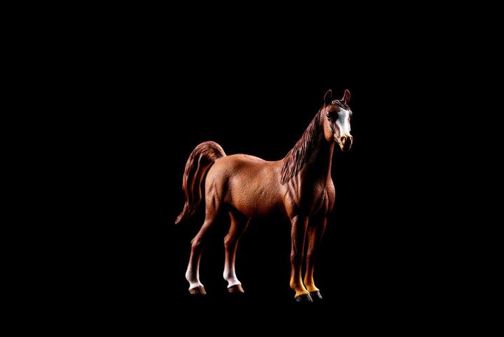 Produktbild Schleich Araber Stute 1:12