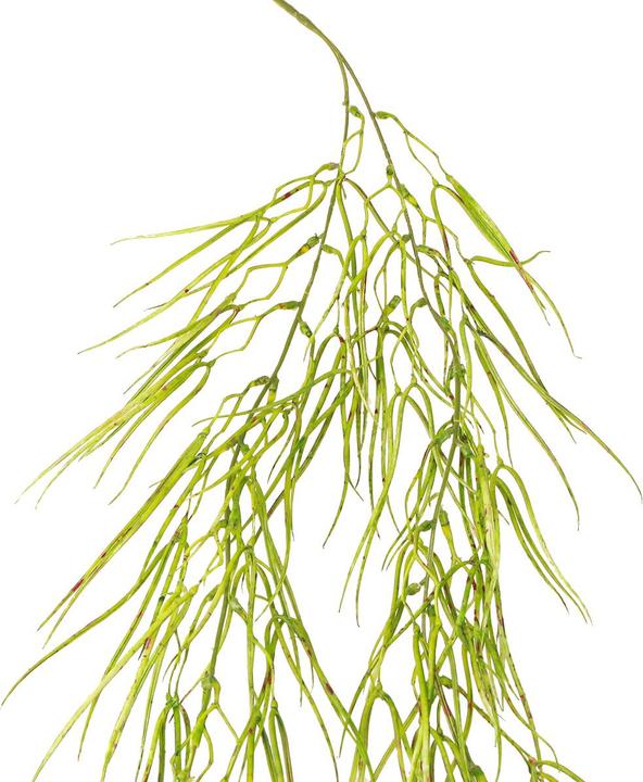 Immagine prodotto DPI Hänger (150 cm)