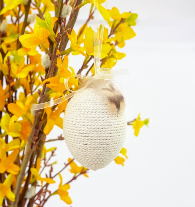 Actual product image Prohobb Plastic eggs