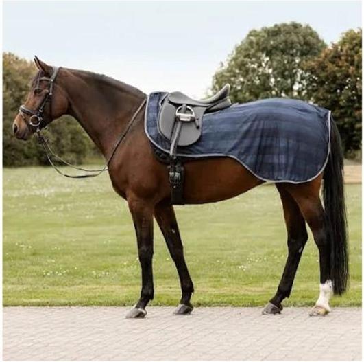 Produktbild Waldhausen Fliegenausreitdecke Economic Pferde Blau Pony
