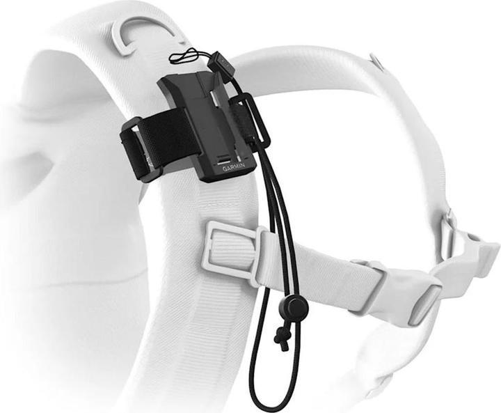 Actual product image Garmin Rucksackbefestigung