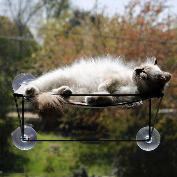 Actual product image D&D Olivia (Cat)