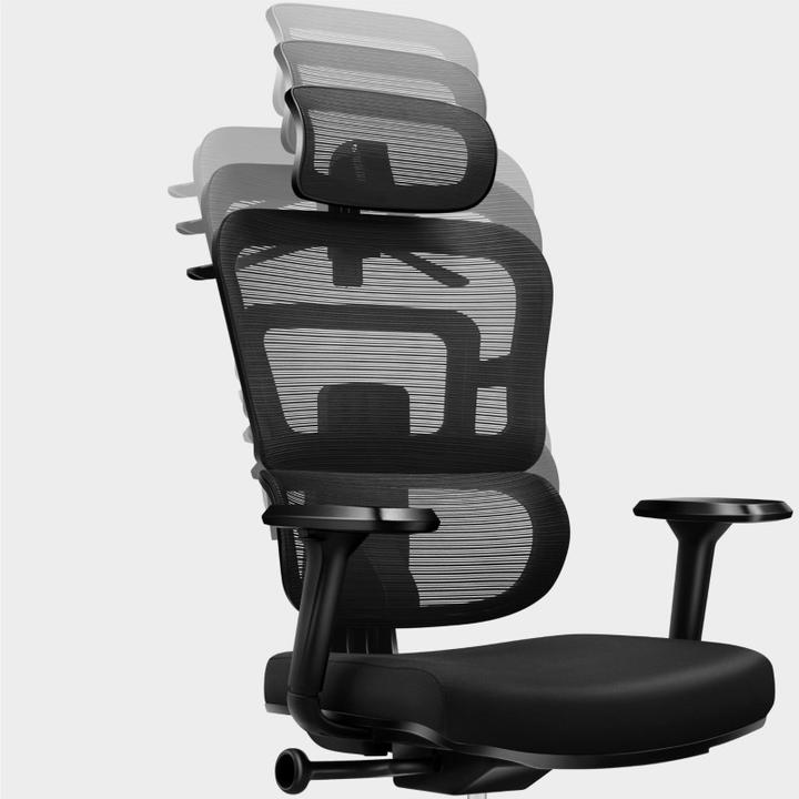 Image du produit Mark Adler Expert (44 - 52 cm)