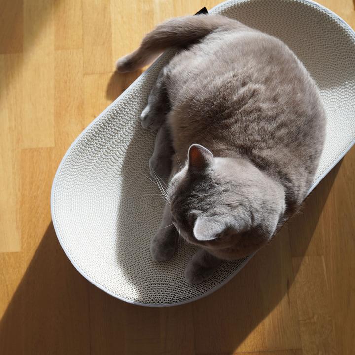 Produktbild LucyBalu SCRATCHBED Kartonbett (Katze)