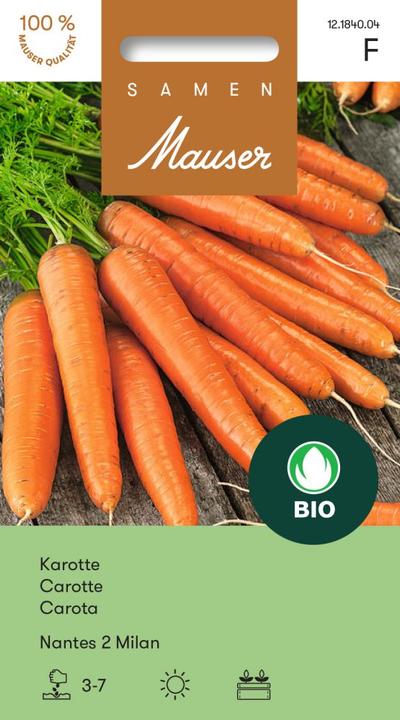 Produktbild Samen Mauser Knospe Bio Karotte Nantes 2 Milan (Gemüsesamen)