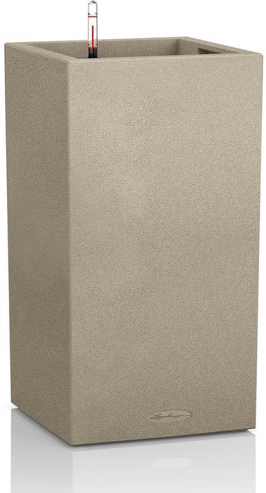 Beige sable