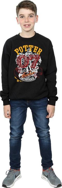 Actual product image Boys Gryffindor Seeker Sweatshirt (152, 158)