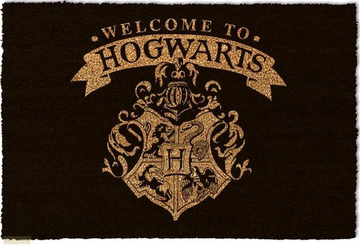 Pyramid Paillasson Harry Potter Bienvenue à Poudlard (60 x 40 cm)