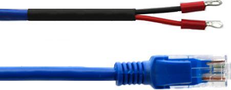 Image du produit AKCP DCS60 - Câble de contact sec