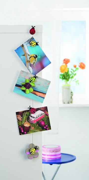 Produktbild Glorex Magnete (6 x)