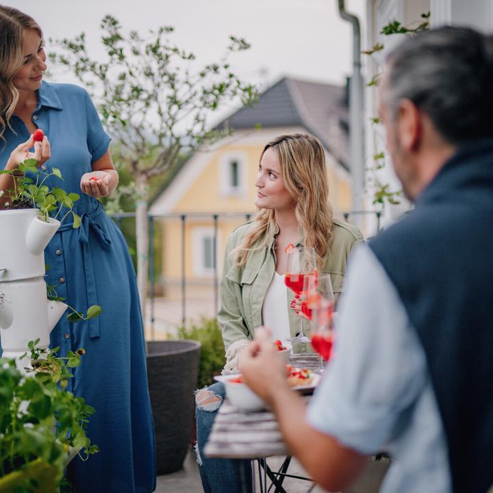 Actual product image Gusta Garden Sissi Strawberry (27 x 27 x 113 cm)