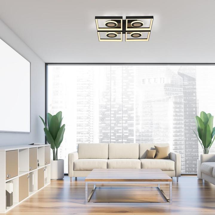 Actual product image Paul Neuhaus Traforo (250 lm)