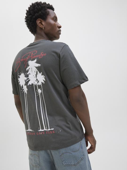 Actual product image Jack & Jones Jorbradley Goldengate Tee Ss C.N Stmss25 (S)