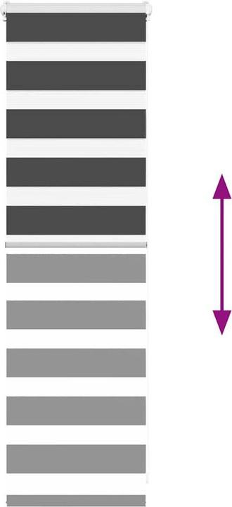 Produktbild vidaXL Zebra-Jalousie (55 x 100 cm)