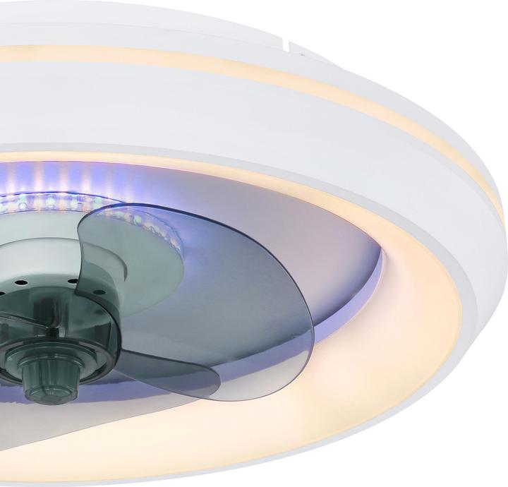 Produktbild Globo Joey (52 dB)