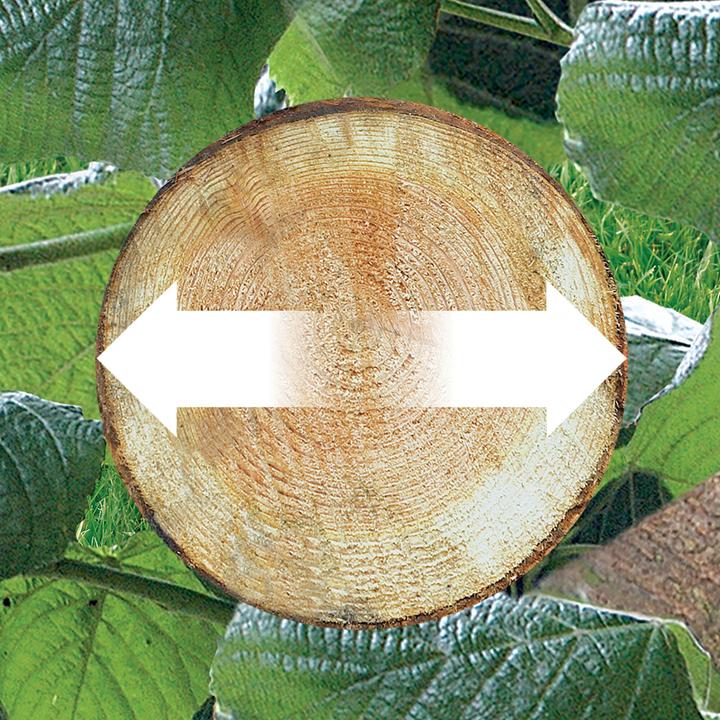 Image du produit Black & Decker Gkc1820l20 (Tronçonneuse à batterie)