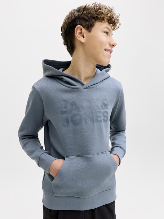 Produktbild Jack & Jones Jjecorp Logo Sweat Hood Noos Jnr (140)