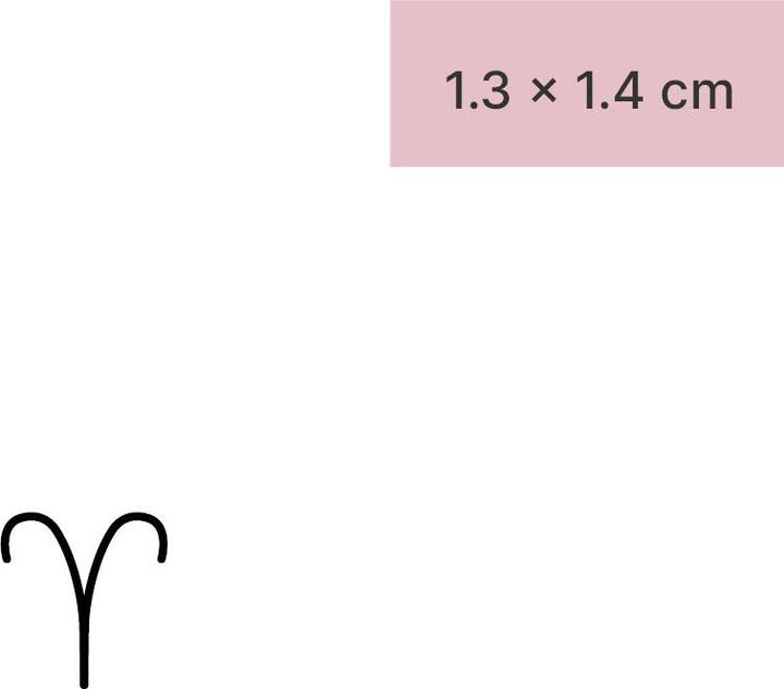 Immagine prodotto minink Tatuaggio temporaneo - segno zodiacale Ariete