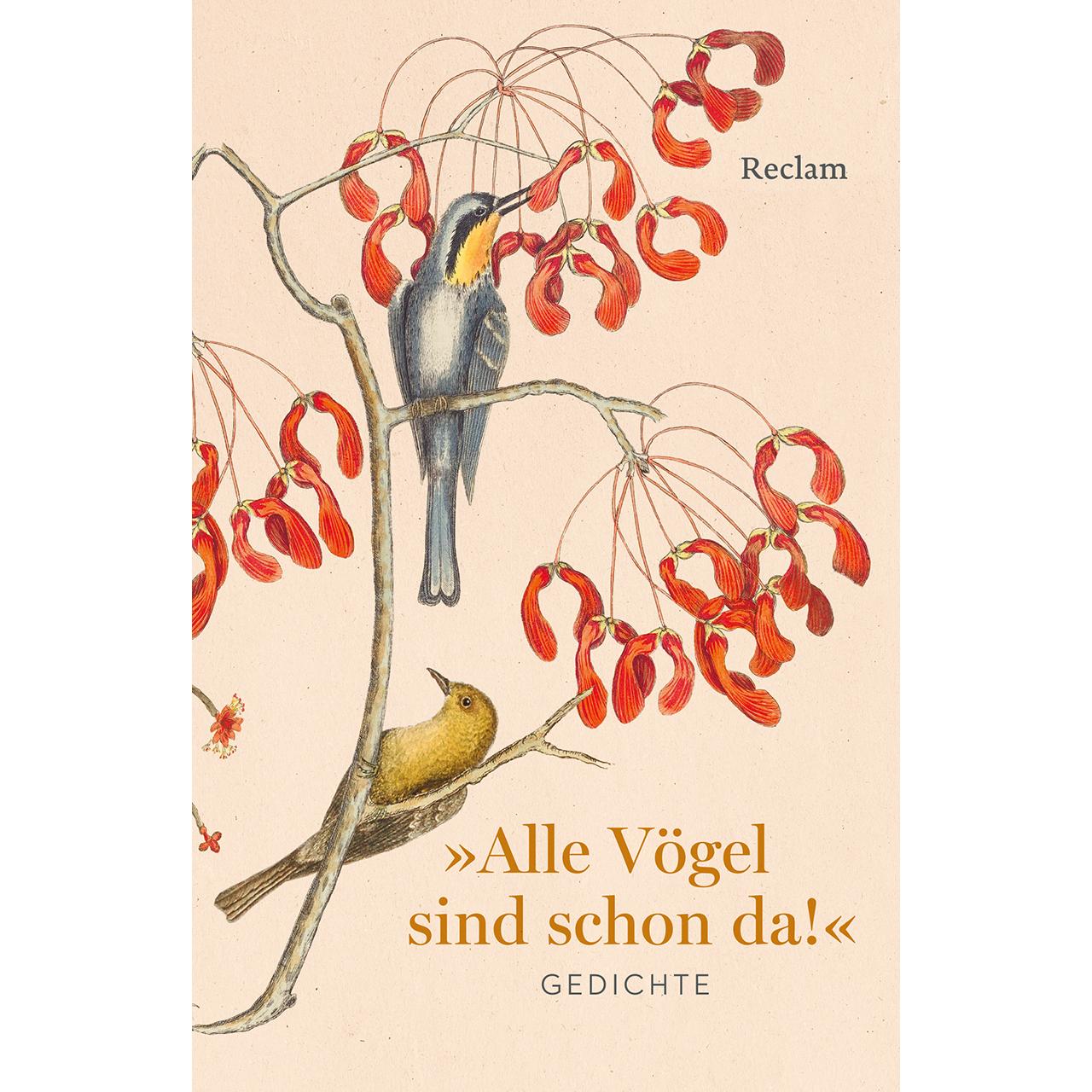 Alle Vögel sind schon da! Gedichte, Belletristik von Christine Schmidjell, Polt-Heinzl, Evelyne/Schmidjell