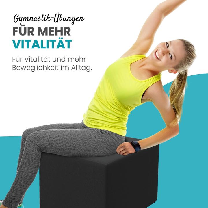 Produktbild Aktivshop Bandscheibenwürfel