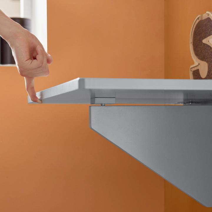 Actual product image SoBuy Wall-mounted folding table