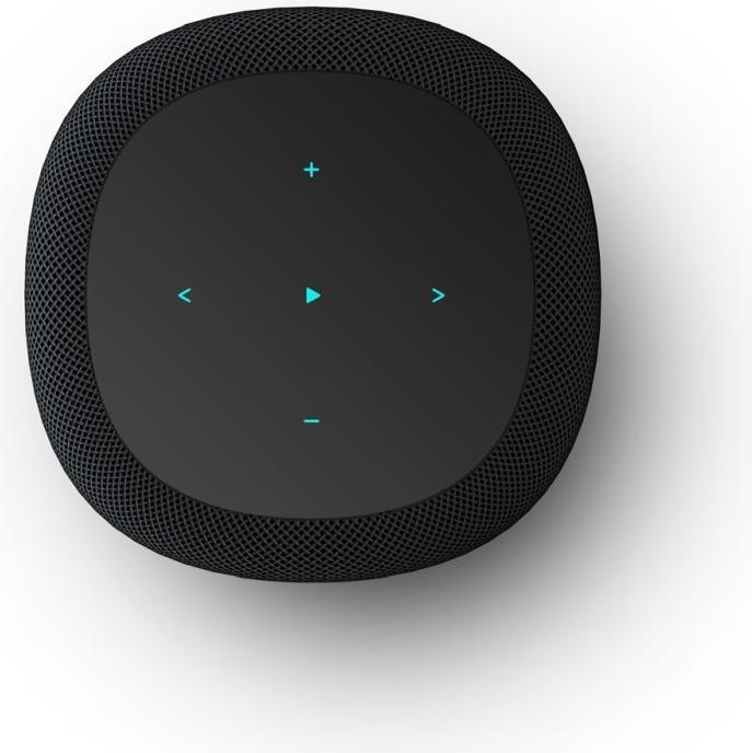 Actual product image WiiM Sound (Bluetooth, Wi-Fi)