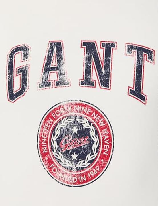Actual product image GANT Graphic (M)