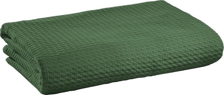 Vert foncé