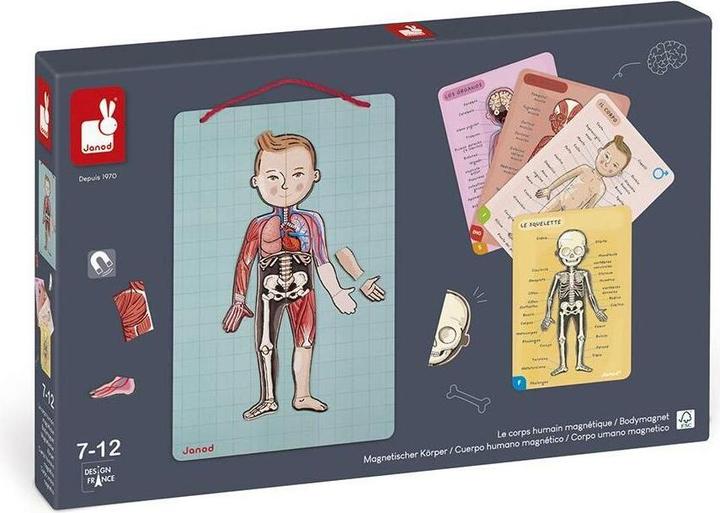 Productafbeelding Janod Magnetisch lichaam (Duits, Engels, Frans, Italiaans, Spaans, 6 - 12 Jaren)