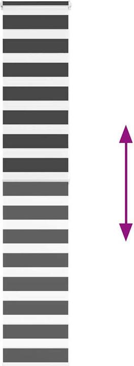Produktbild vidaXL Zebra-Jalousie (45 x 200 cm)