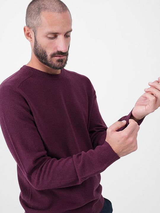 Produktbild Knowledge Cotton Apparel Pullover (XL)