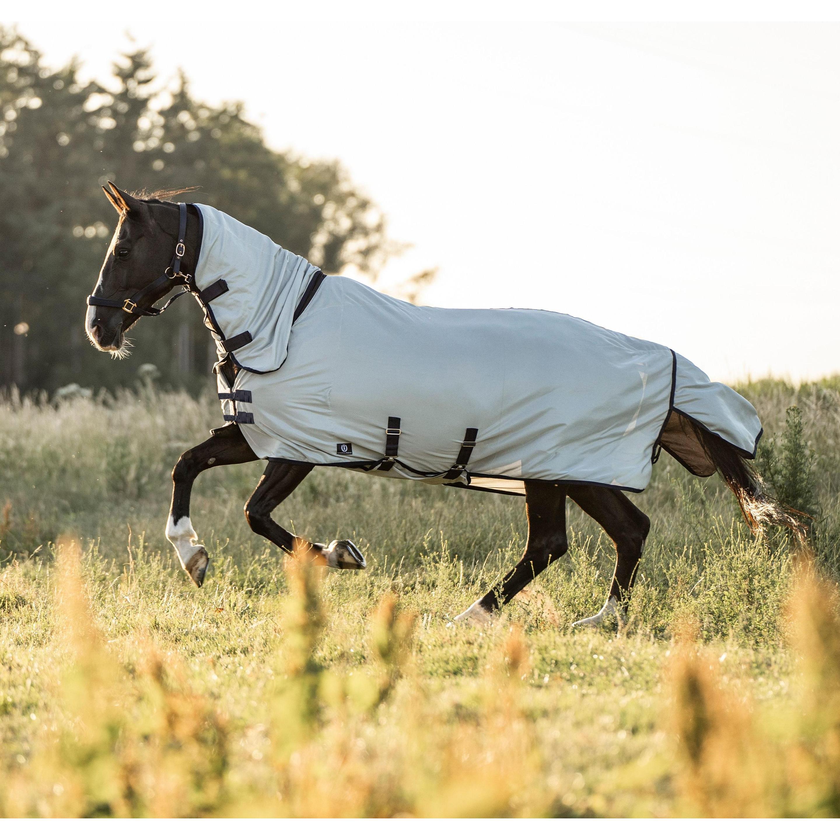 Thumbnail - Imperial Riding, Pferdedecke, (175 cm)