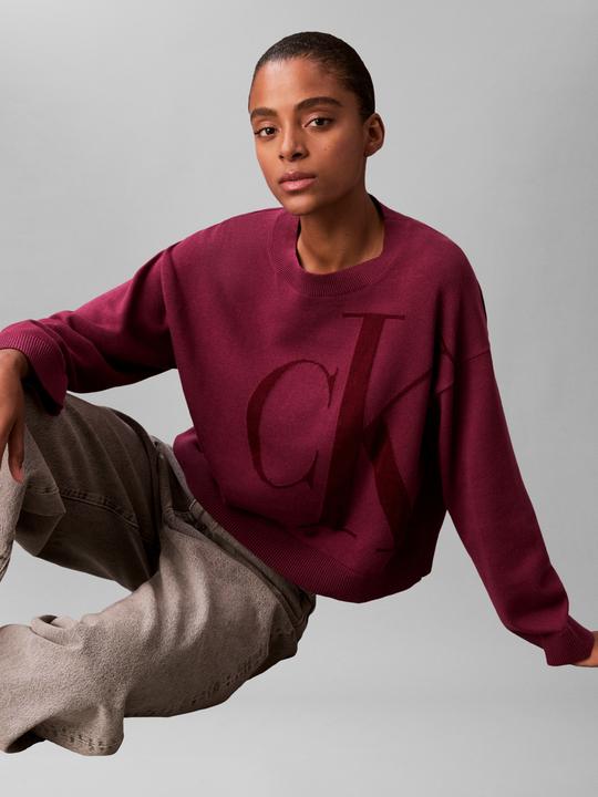 Produktbild Calvin Klein Langarm-Pullover aus glatter Baumwolle (L)