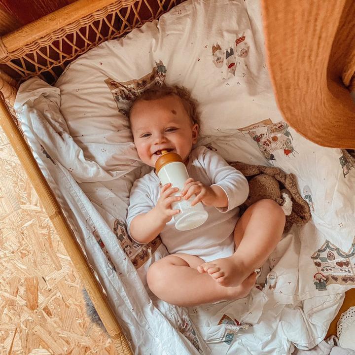 Produktbild Hevea Trinksauger Naturkautschuk medium-flow 3+ Mt.