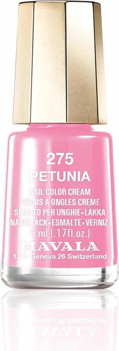 275 Petunia